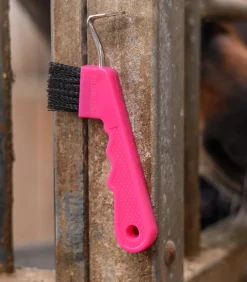 Hufkratzer mit Magnet