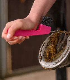 Hufkratzer mit Magnet