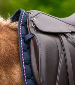 Island Satteldecke Landsmót