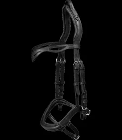 Island Trensenzaum anatomic