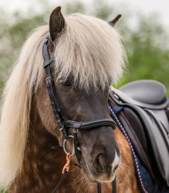 Island Trensenzaum anatomic