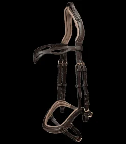 Island Trensenzaum anatomic