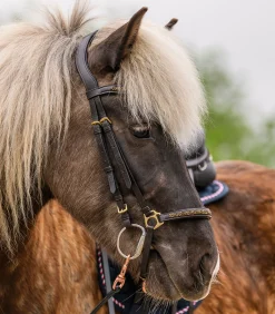 Island Trensenzaum Ice