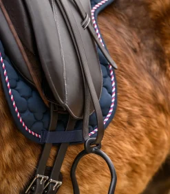 Islandsattel Economic