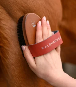 Kardätsche HardWood, Synthetikborsten