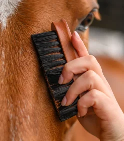 Kopfbürste HardWood