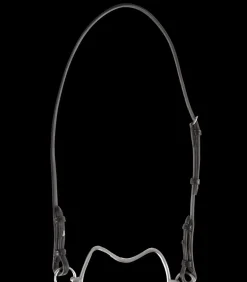 Kopfriemen für Steiggebiss