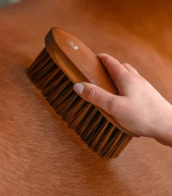 Langhaarbürste HardWood