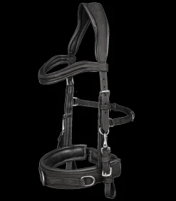 Lederkappzaum anatomic