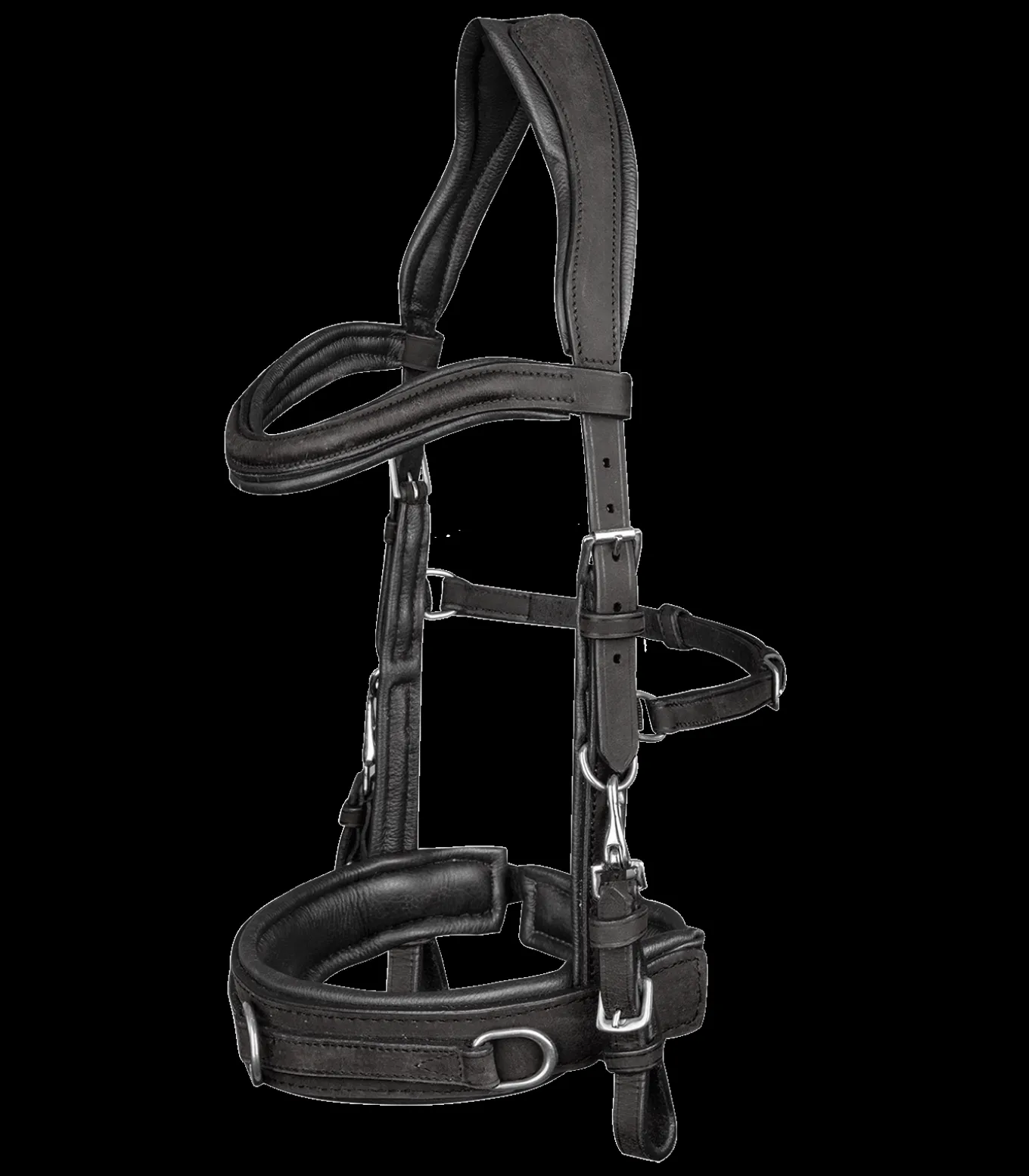 Lederkappzaum anatomic