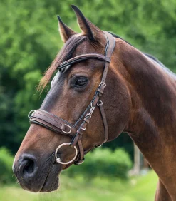 Lederkappzaum anatomic