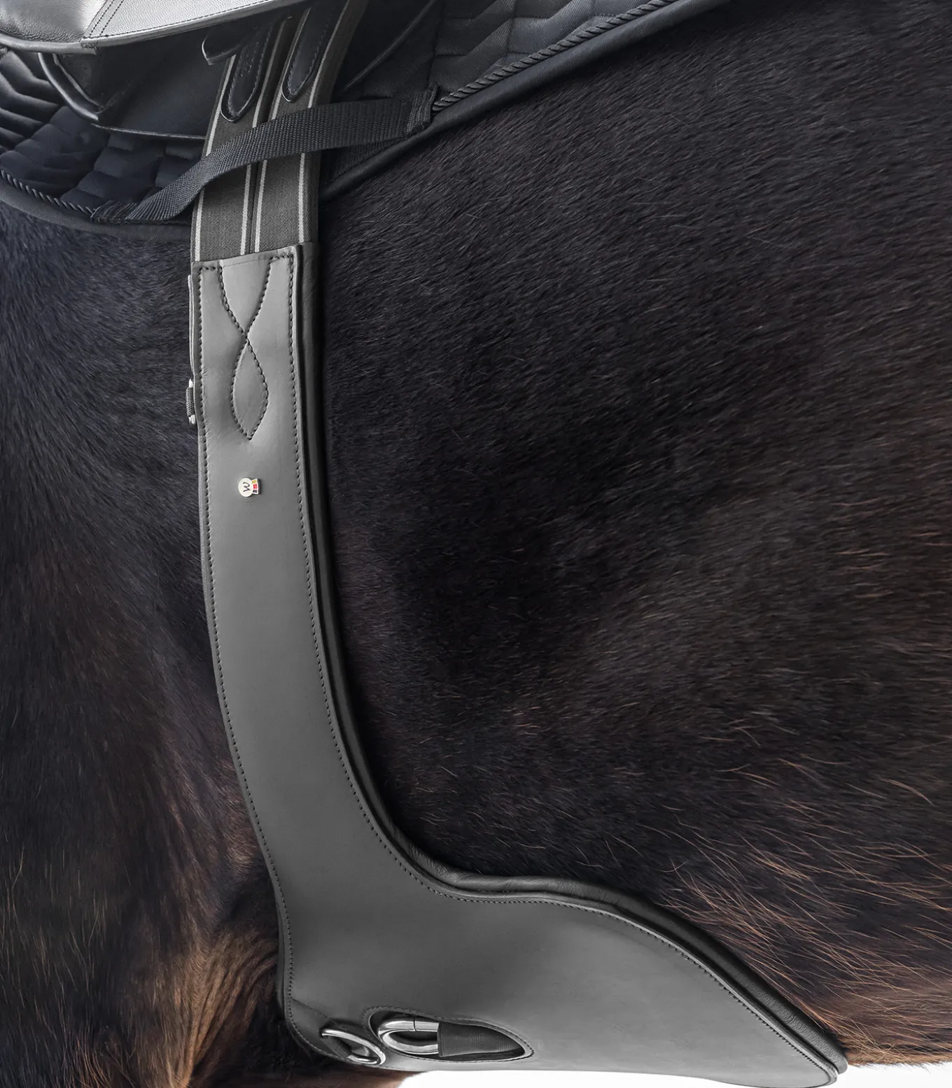 Ledersattelgurt - mit Bauchlatz