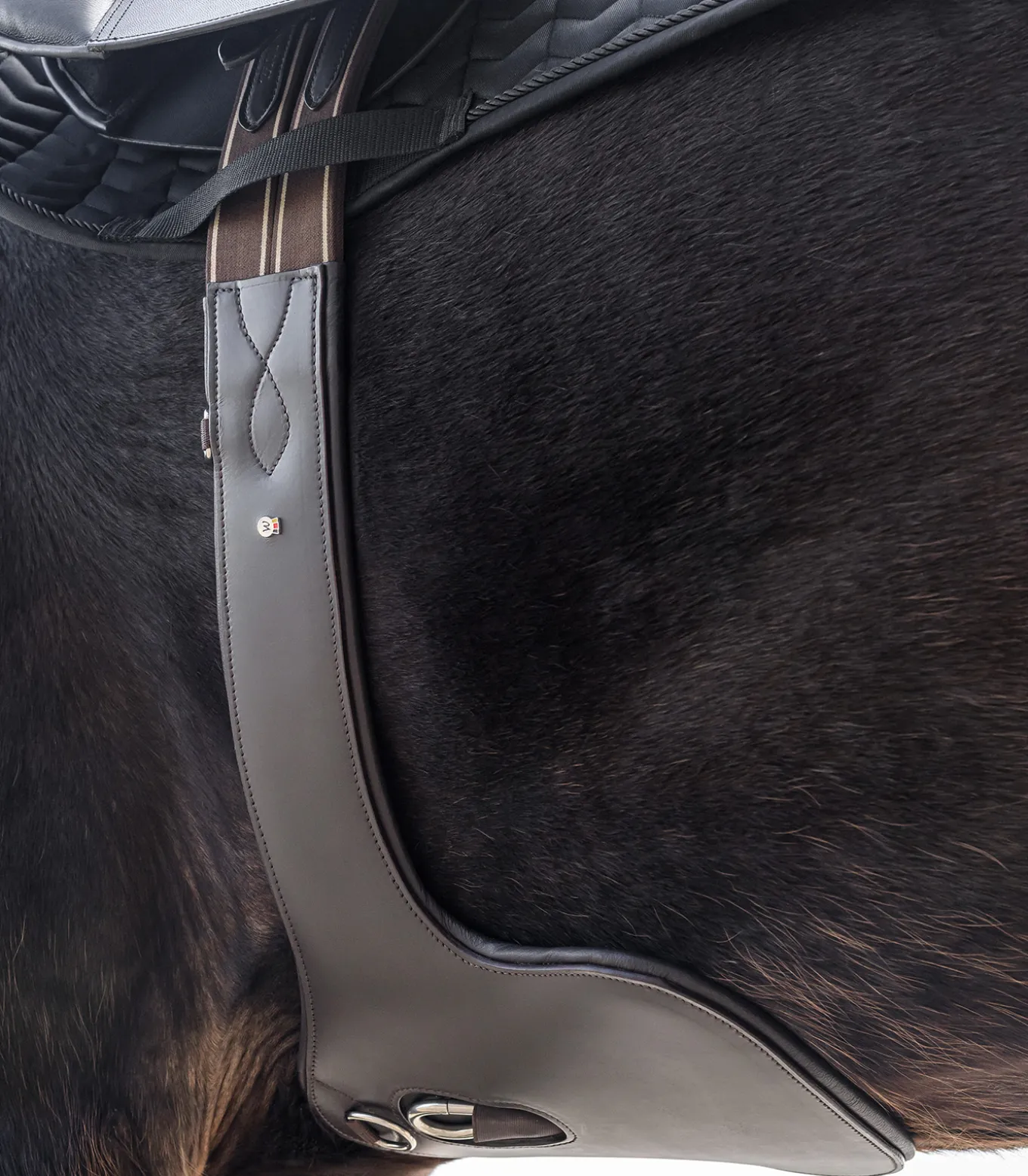 Ledersattelgurt - mit Bauchlatz