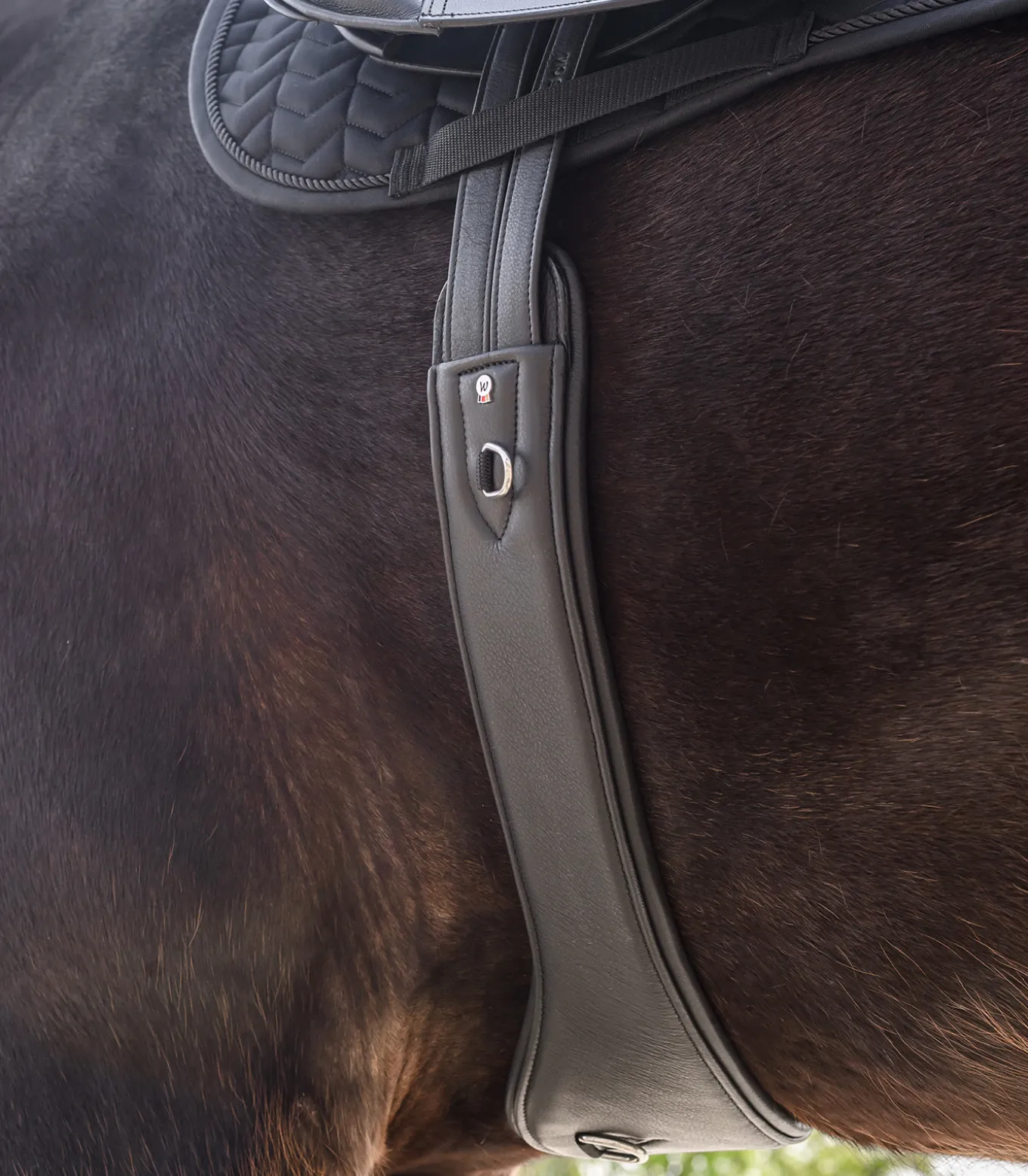 Ledersattelgurt Contour