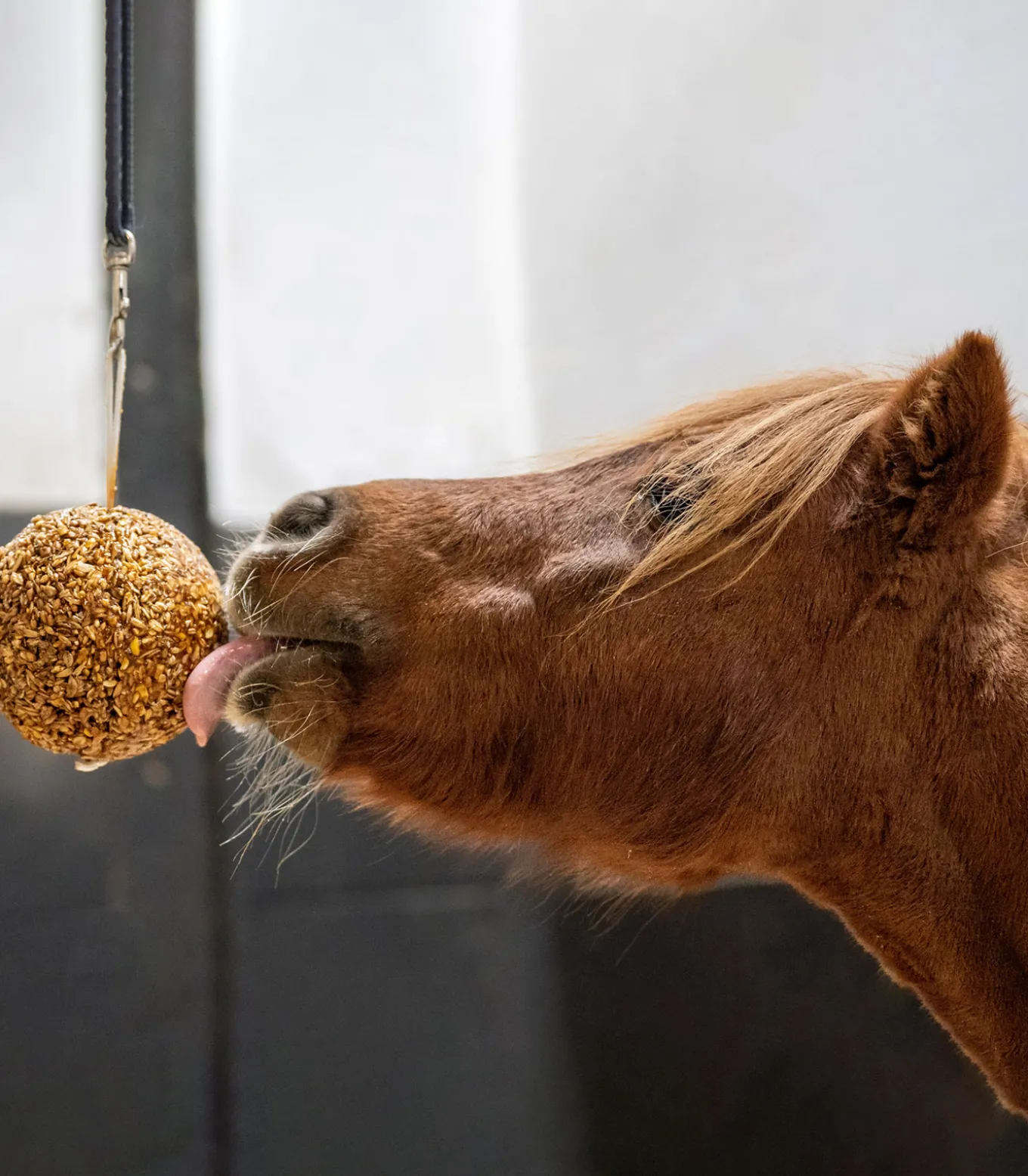 Likit Müslikugel 1,6 kg