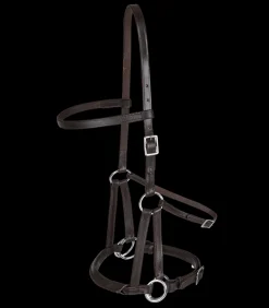 Linda Tellington Jones Lindel