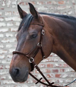 Linda Tellington Jones Lindel