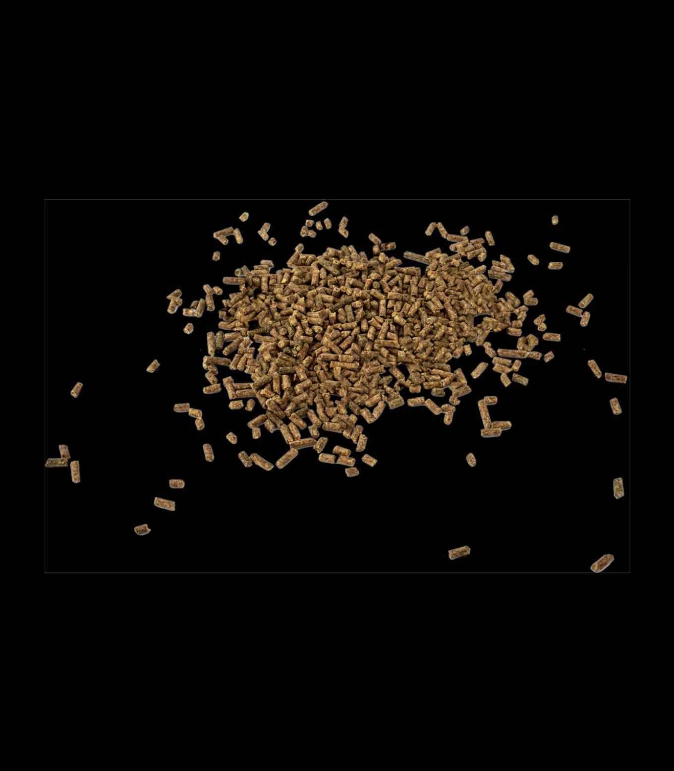 Magnesium forte - Für mehr Ausgeglichenheit, 1 kg