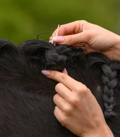 Mähnen Einflecht Set