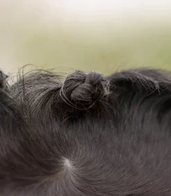 Mähnen Einflecht Set