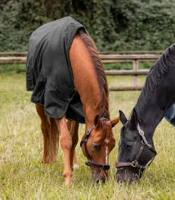 NORDIC Outdoordecke, 300 g