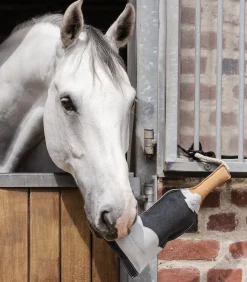 Pferdespielzeug Sektflasche