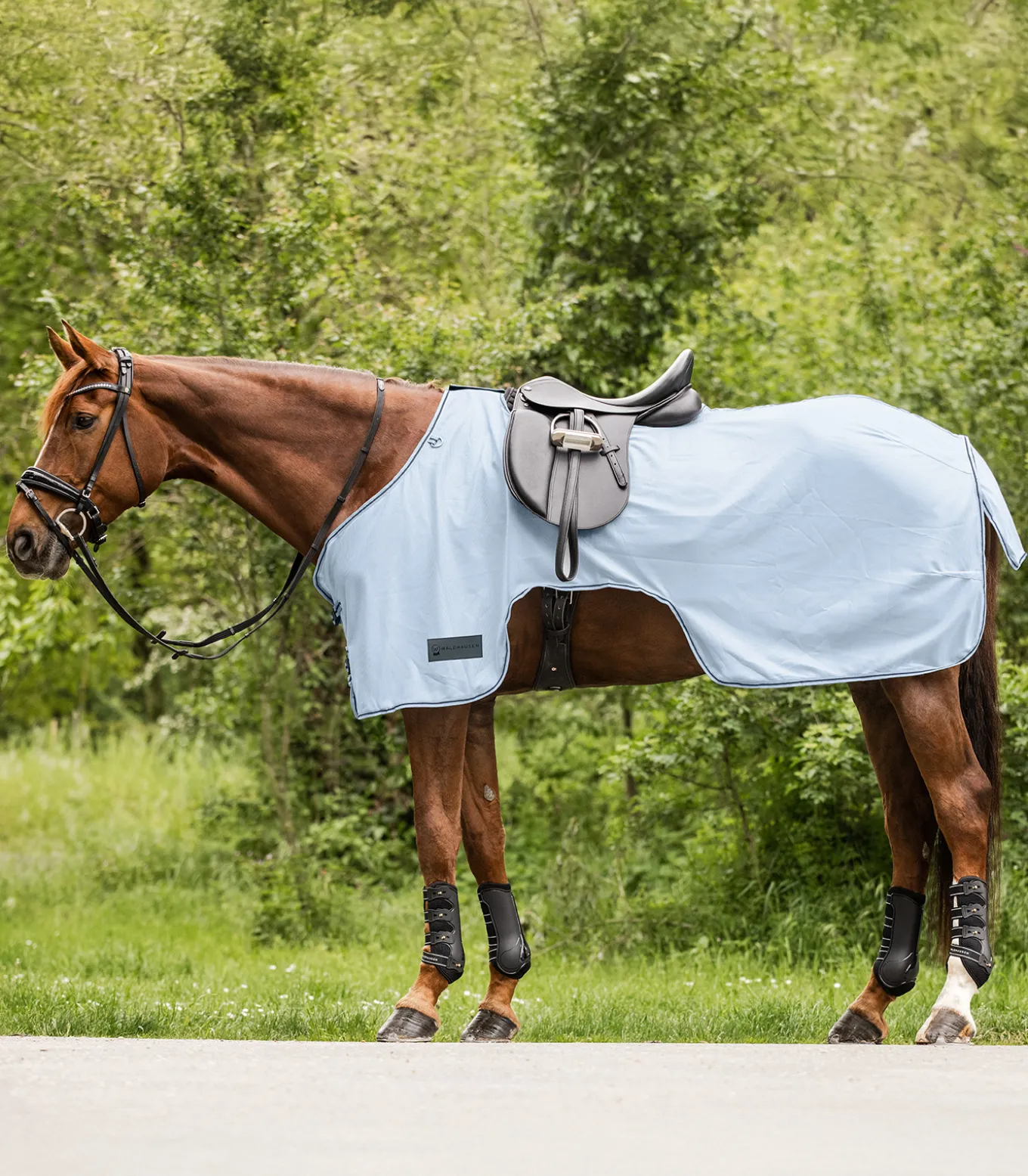 PROTECT Fliegen-Ausreitdecke
