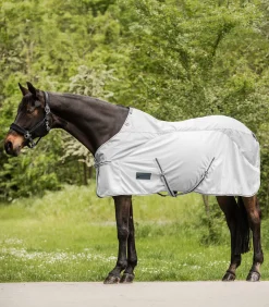 PROTECT Regen-Fliegendecke
