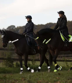 REFLEX  Trensenzaum-Set