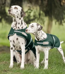 Regen-Hundedecke