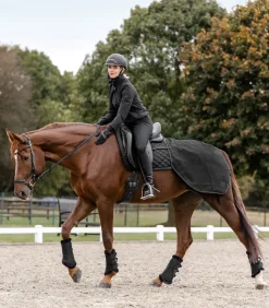 Regen-Nierendecke Salzburg