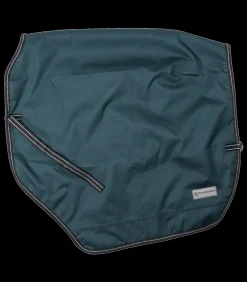 Regen-Nierendecke Salzburg