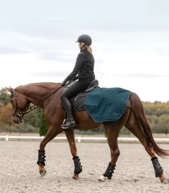 Regen-Nierendecke Salzburg
