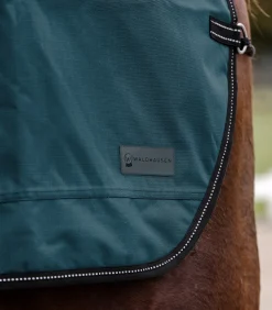 Regen-Nierendecke Salzburg