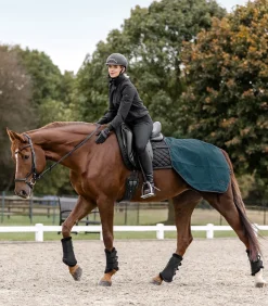 Regen-Nierendecke Salzburg