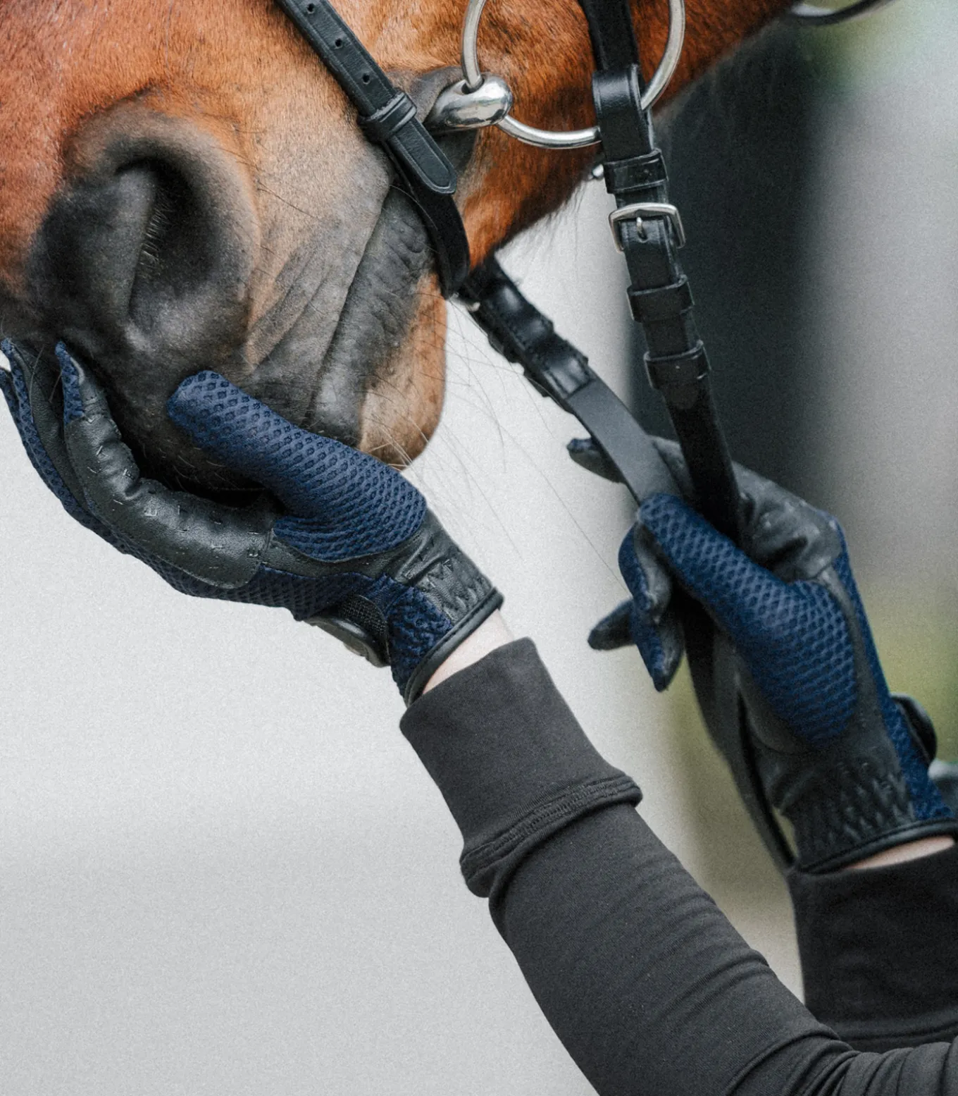 Reithandschuh Nantes