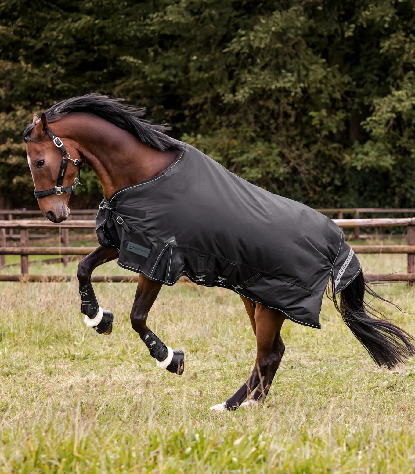 SCANDIC Outdoordecke, 50 g