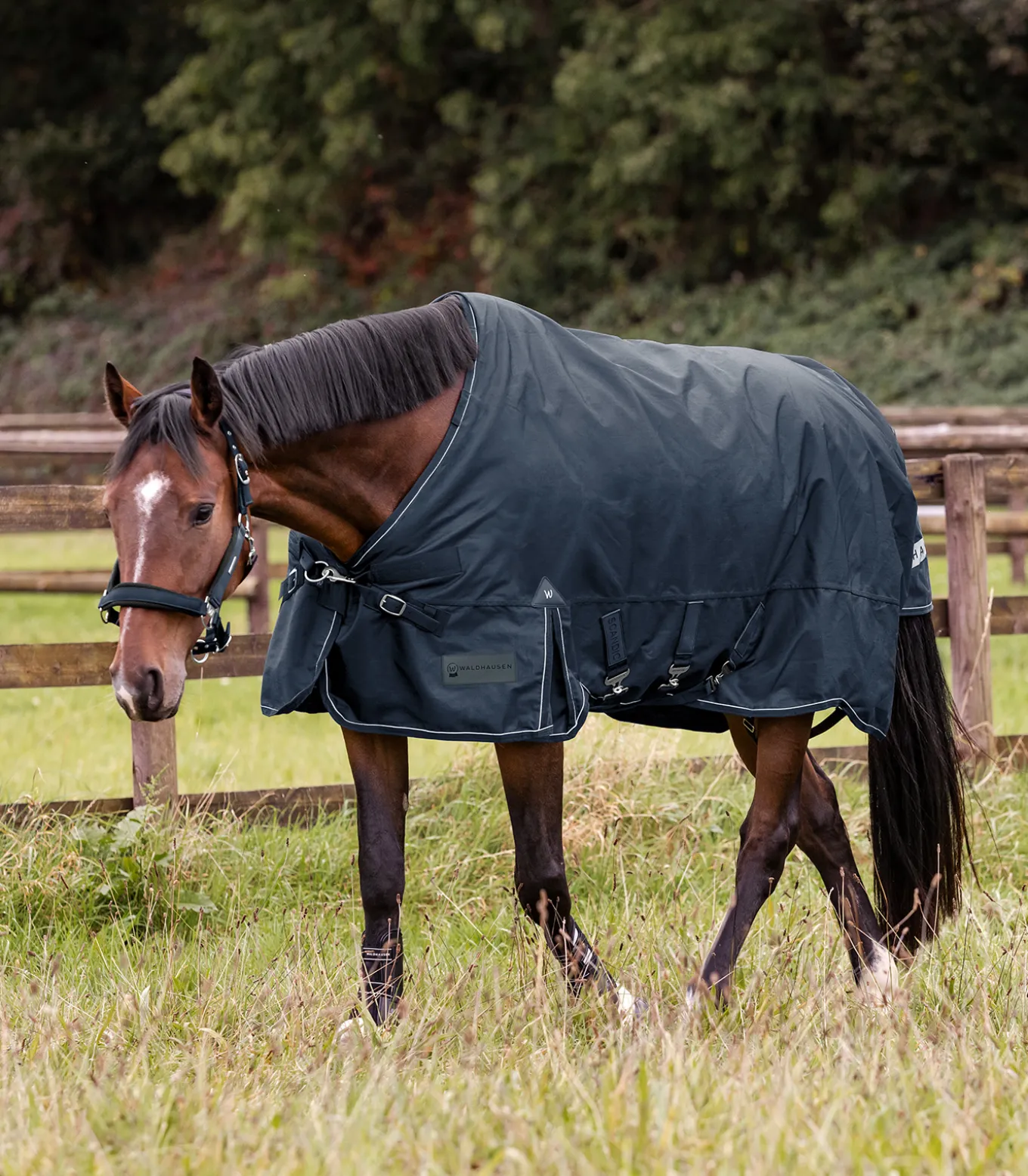 SCANDIC Outdoordecke, 50 g