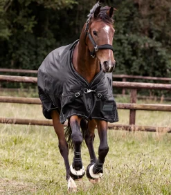 SCANDIC Outdoordecke, 200 g