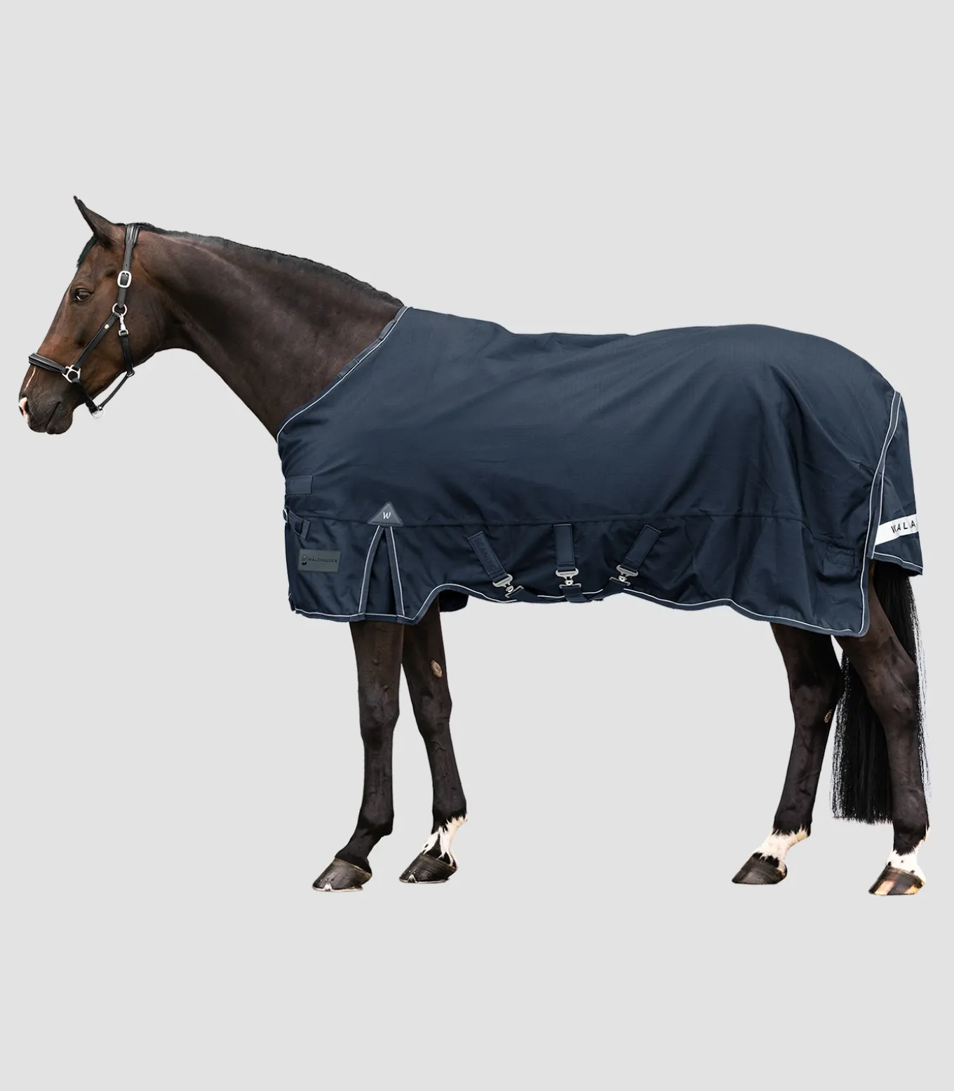 SCANDIC Outdoordecke, 100 g