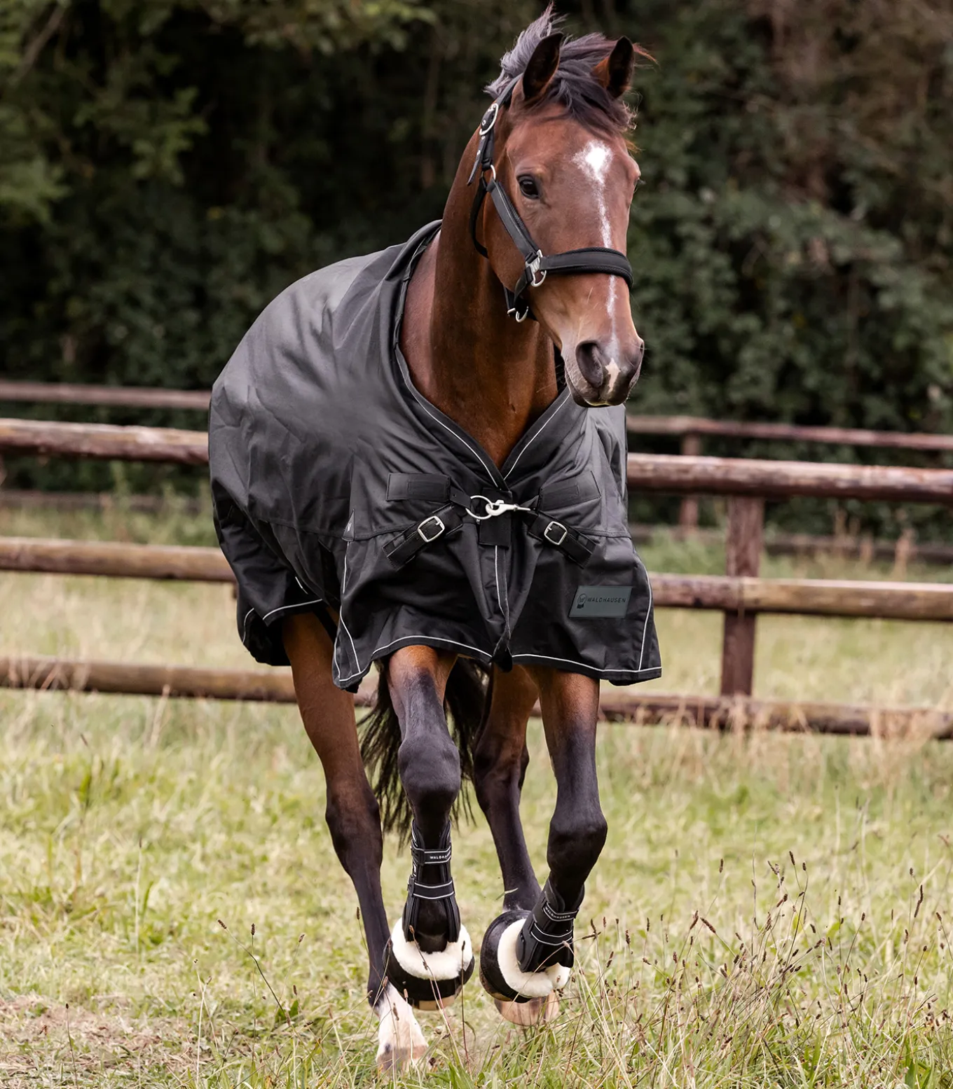 SCANDIC Outdoordecke, 100 g