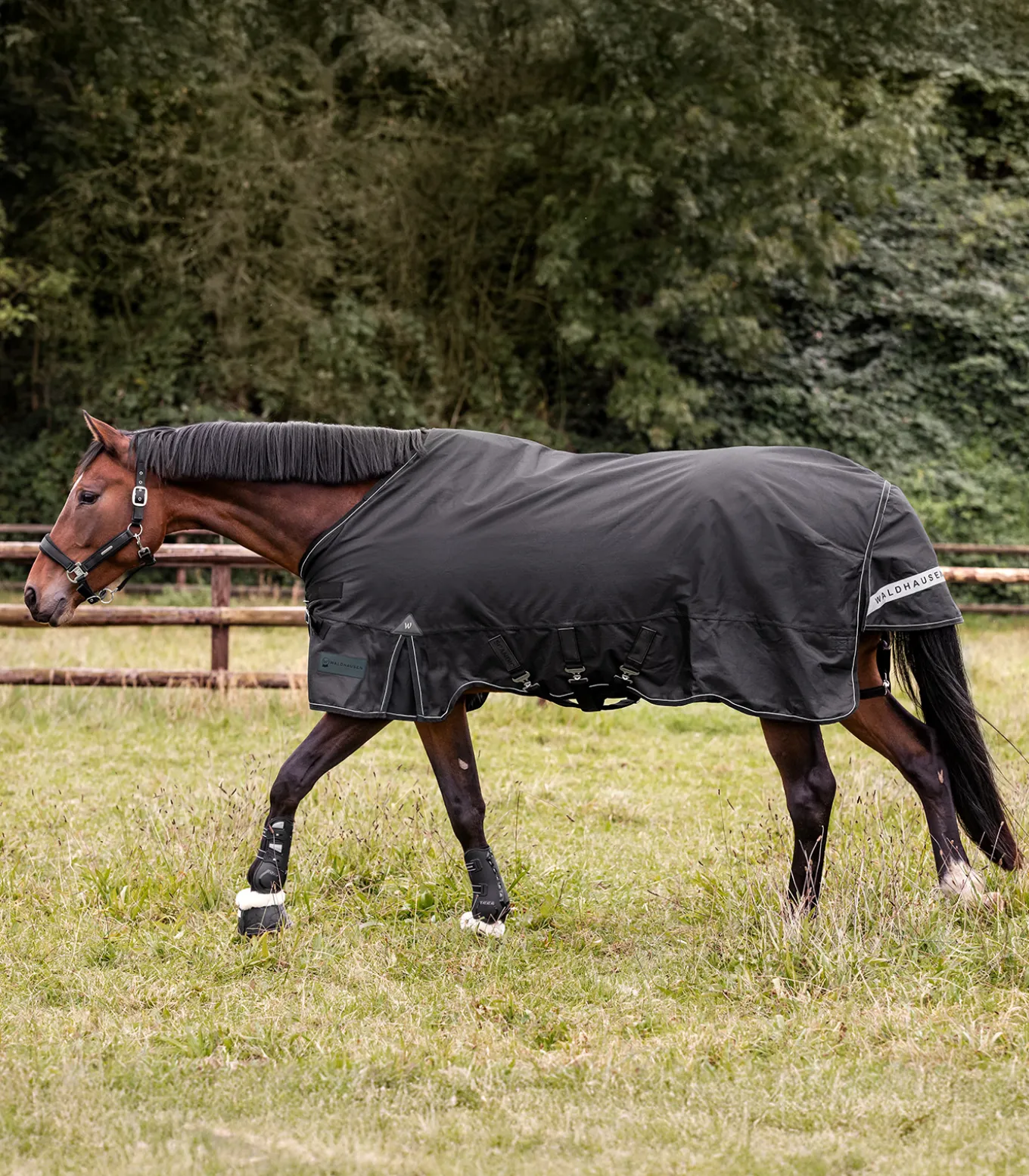 SCANDIC Outdoordecke, 100 g