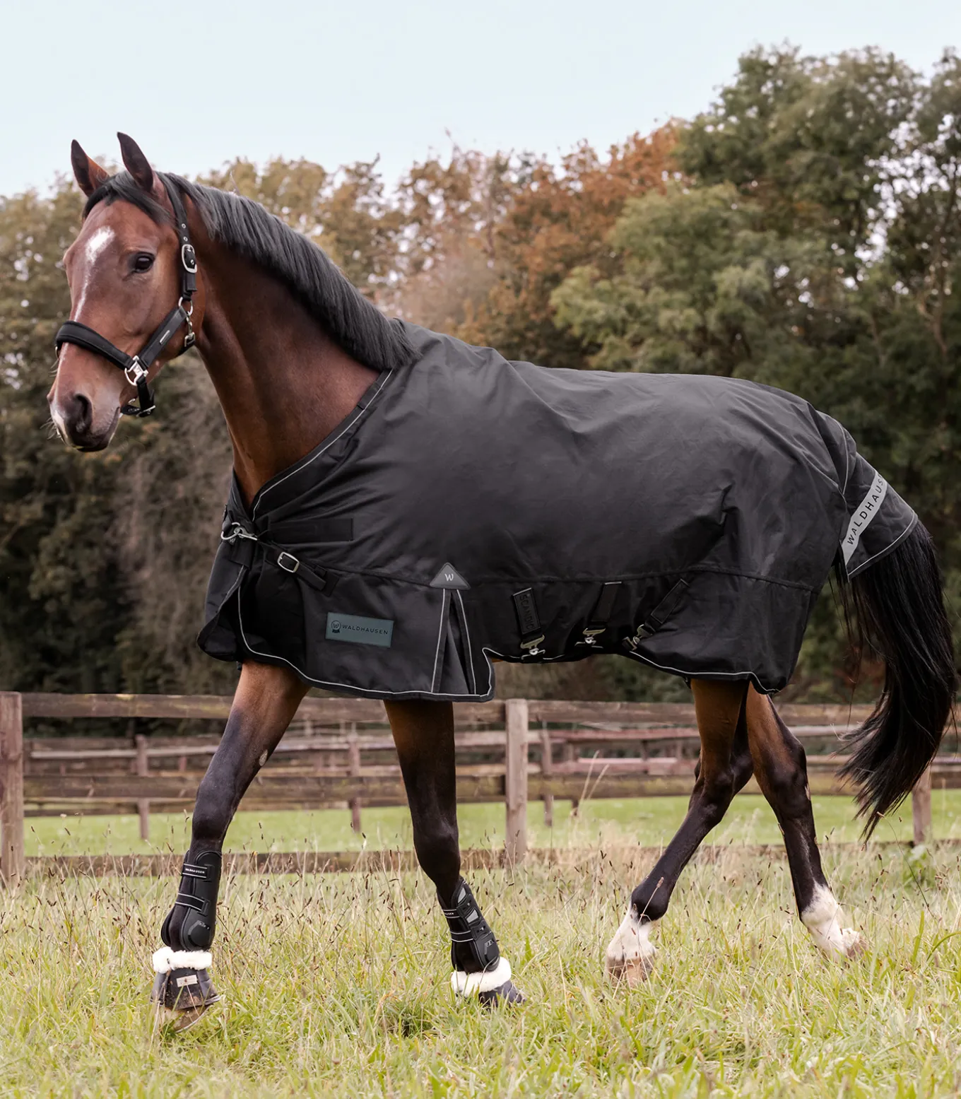 SCANDIC Outdoordecke, 100 g