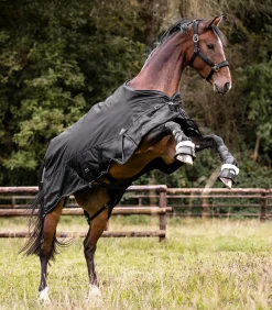 SCANDIC Outdoordecke, 100 g