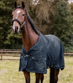 SCANDIC Outdoordecke, 100 g