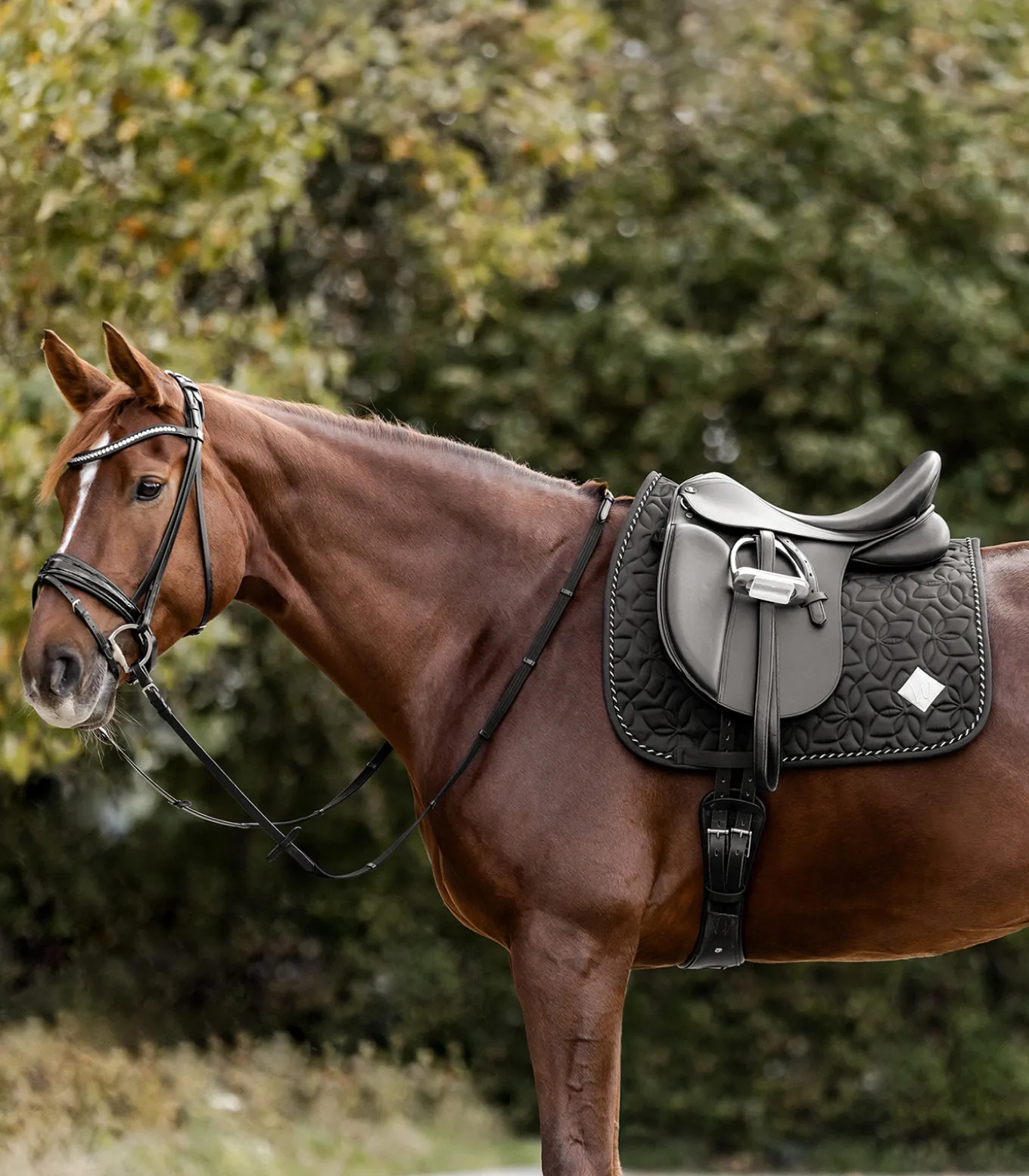 Schabracke Marseille