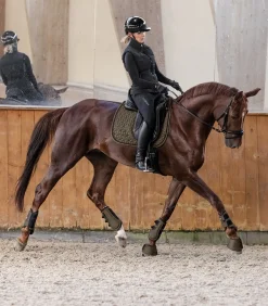 Schabracke Philadelphia