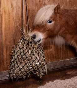 Shetty Heunetz SlowFeed