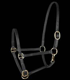 STAR Fohlenvorführhalfter, Leder