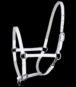 STAR Fohlenvorführhalfter, Leder